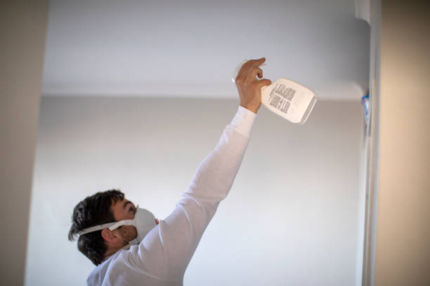 Best Post-Flood Mold Remediation in Spartanburg, SC