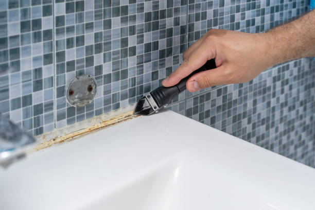 Best Commercial Mold Remediation in Spartanburg, SC